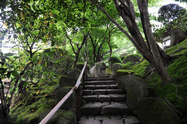 519 kamakura3 DSC_6374.jpg